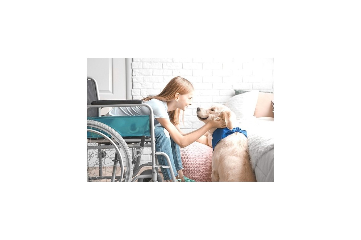 Wózki inwalidzkie a terapia ze zwierzętami